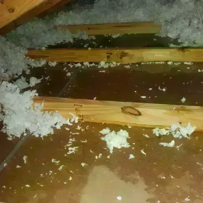 Attic Water Damage in Stayton, OR