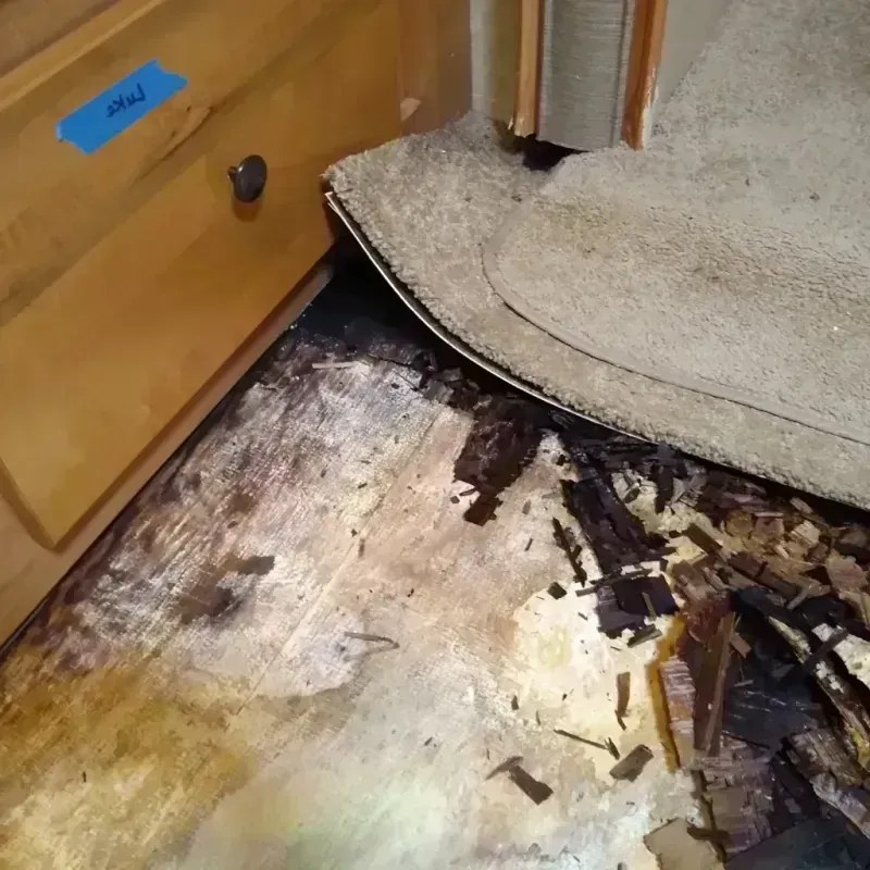 Wood Floor Water Damage in Stayton, OR